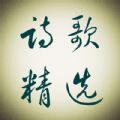 诗歌精选