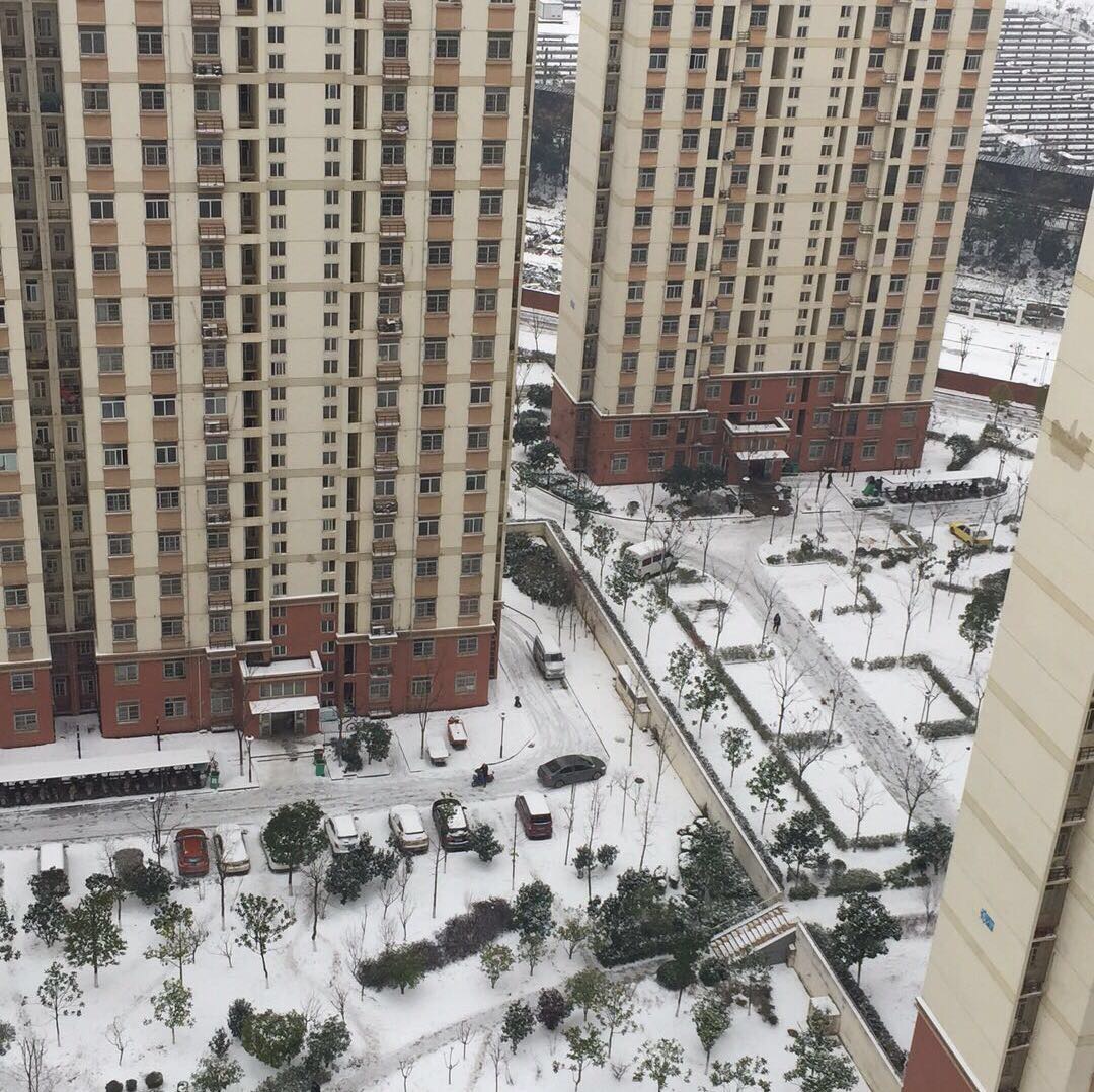 恒指操作大师微信号